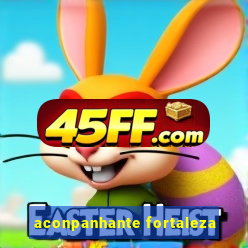 aconpanhante fortaleza